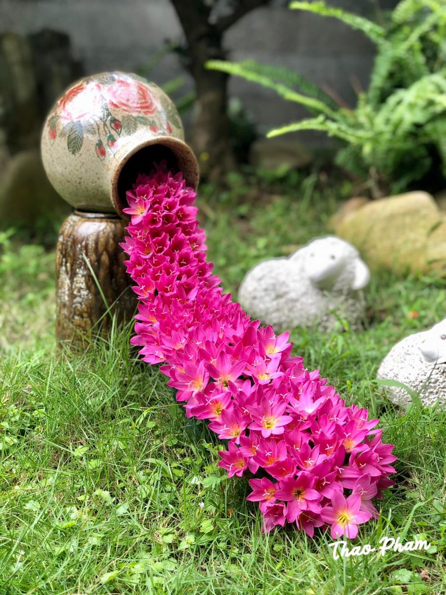 Tử vi ngày 26/6/2022 của 12 cung hoàng đạo